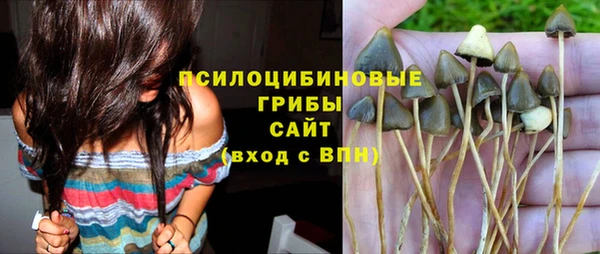 гидропоника Балабаново