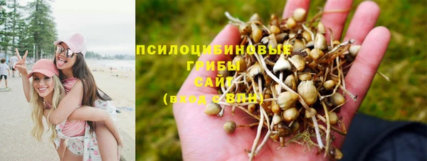 мескалин Баксан